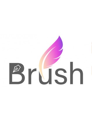N1005 Brush collection（Full Edition） Free online answer VIP service exclusive customer service