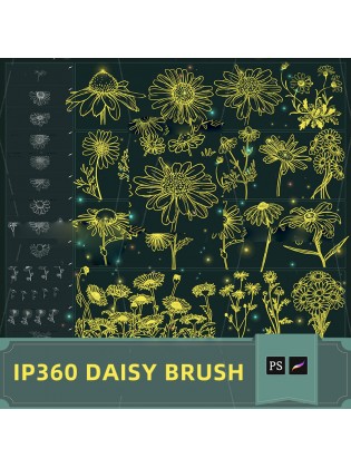 IP360 Daisy Brush